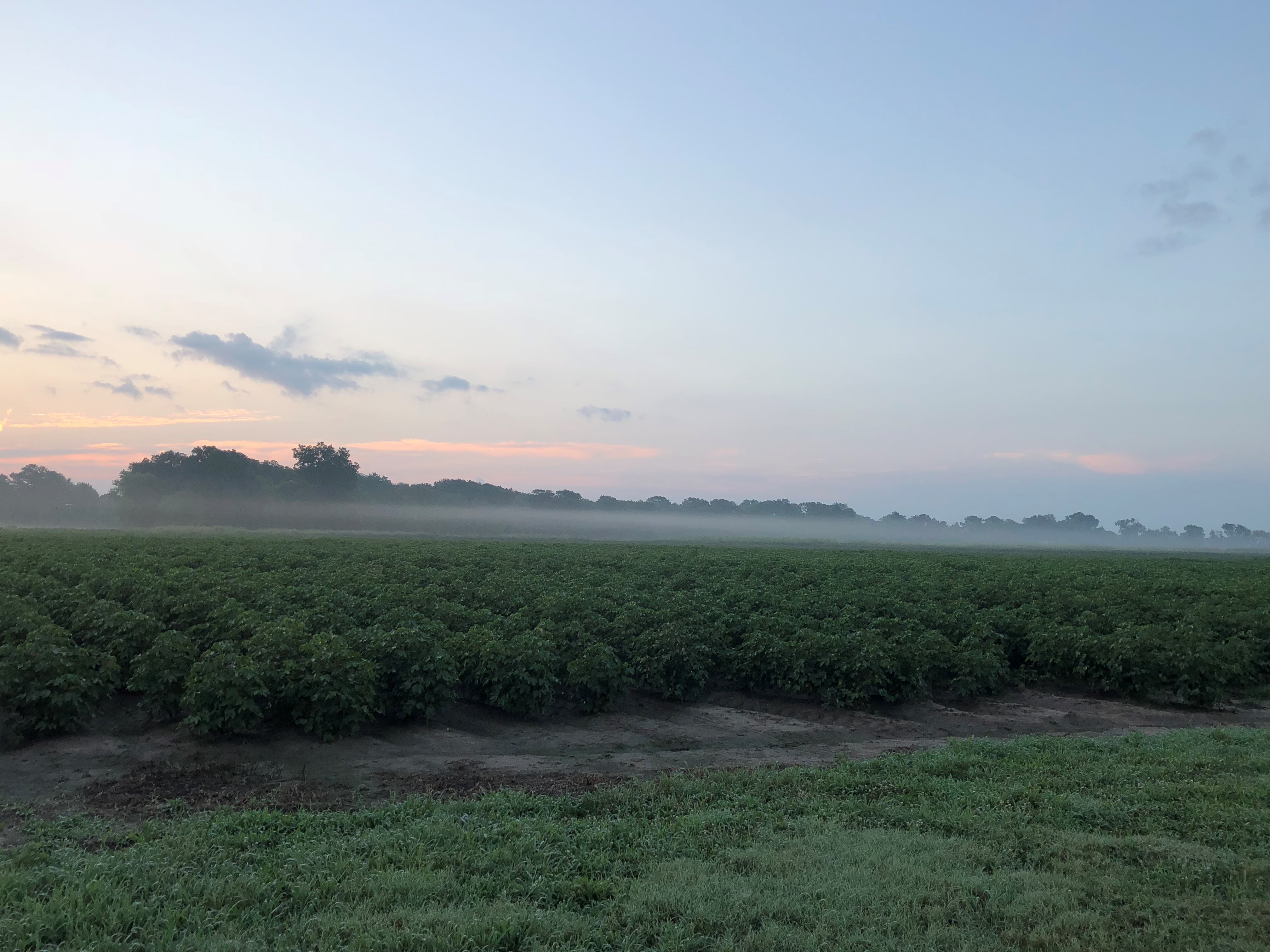 Temperature Inversion_St Joe_Brownjpg